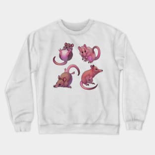 Potaroo Crewneck Sweatshirt